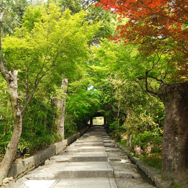 高台寺へ続く階段