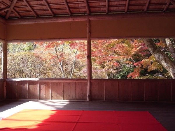 １日100人限定の白龍園で紅葉狩り