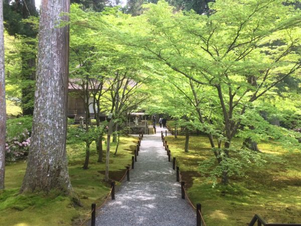 新緑の京都大原
