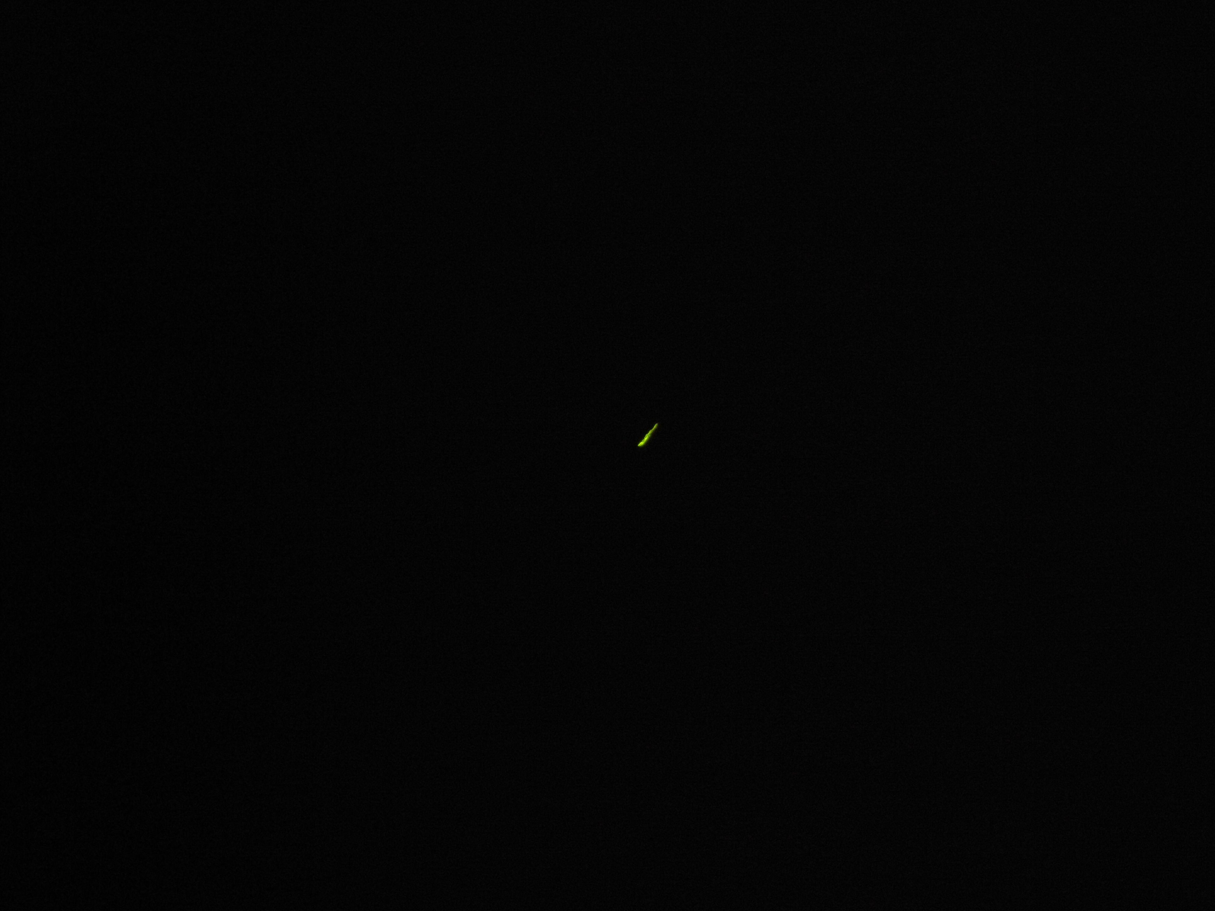 ホタル観賞会 in 西河原公園