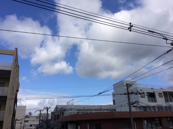 台風がすごかった。。。