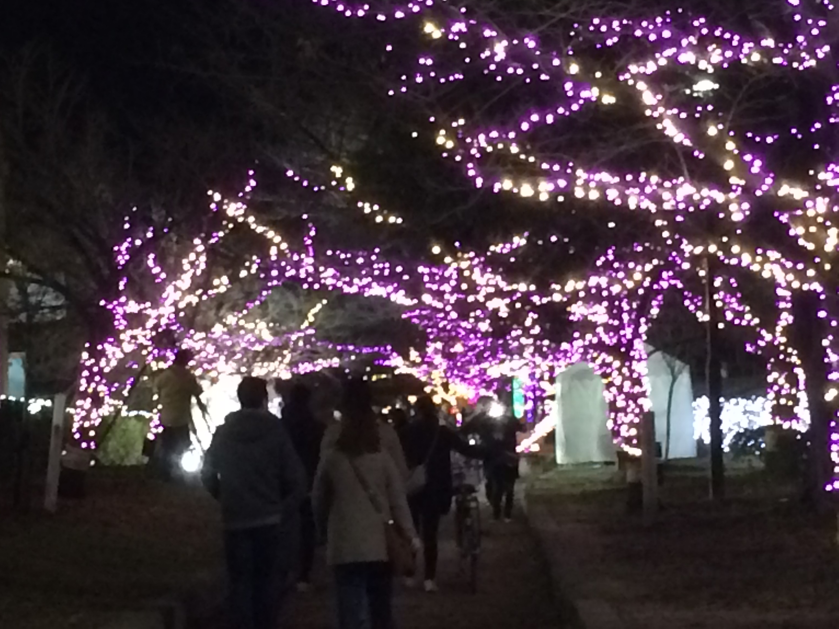 いばらき光の回廊イルミフェスティバル