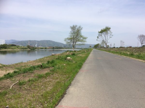淀川サイクリングコース