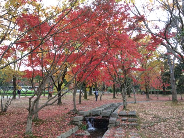 万博でのんびり