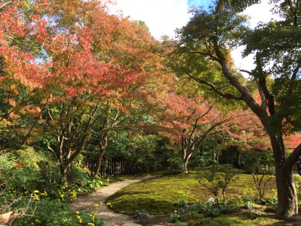 万博では紅葉まつりが開催されています。