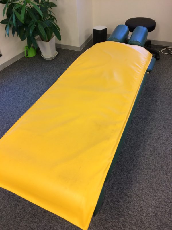 ホットマットを使い始めました。